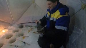 КАК ЛОВЯТ ОСЕТРА ЗИМОЙ СО ЛЬДА?  КОММЕРЧЕСКИЙ ВОДОЕМ В КОКИНО! ЗАПУСК||ВЫВАЖИВАНИЕ||ПОИМКИ