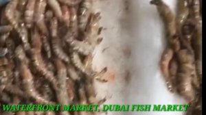 WATERFRONT MARKET#FISHMARKET DUBAI#NGA LEIBA CHATPA