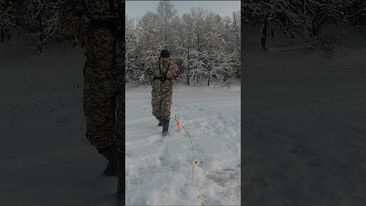 ЭТОГО МОМЕНТА ЖДЁТ КАЖДЫЙ РЫБАК #shorts смотреть онлайн