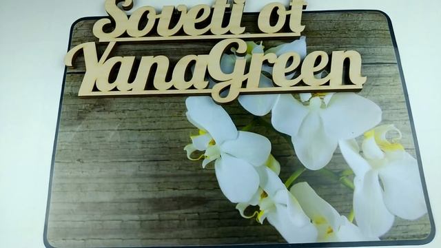 Розовая вода своими руками от морщин смотреть онлайн