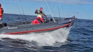 Риб Фортис "Катана 740" плавность хода