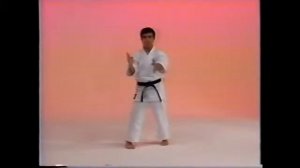 Годзю-кай ката бункай годзю-рю