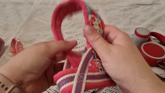 Что взять Йорку на море