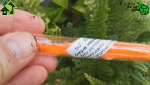 МОШКИ В ГОРШКАХ, МОШКИ В РАССАДЕ УКРАДУТ ПОЛОВИНУ УРОЖАЯ. ПРОСТОЙ МЕТОД ИЗБАВИТЬСЯ ОТ МОШЕК.