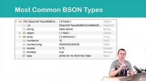 MongoDB Data Types: 01 Most Common MongoDB BSON Types