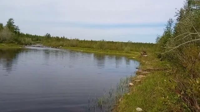 5 июля. 2021г.Красноярский край пос Снежногорск.
