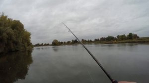 ЩУКА на спиннинг . Ловля щуки с берега на джиг.