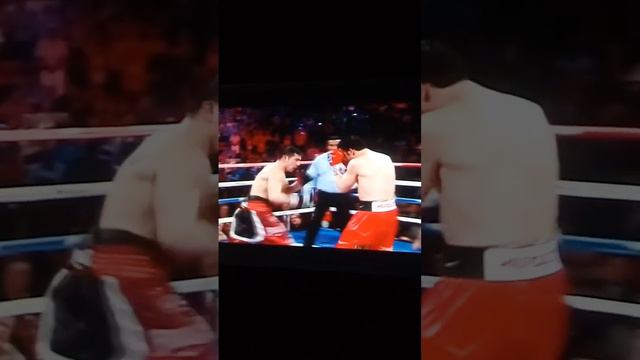 Sergio Martinez vs Julio Cesar Chavez