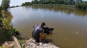 Трофейный карп на Лосось! Ловля карпа на коммерческом водоёме! Карпфишинг 2020. Поймал свой big fis