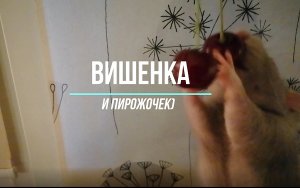 вишенка.mp4