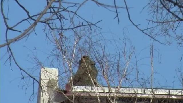 Стройки города кургана 2009 год