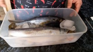 Как посолить рыбу за 3 минуты.ЛЕД + ЯЙЦО