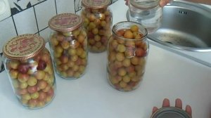 Алыча на зиму (подробный рецепт)