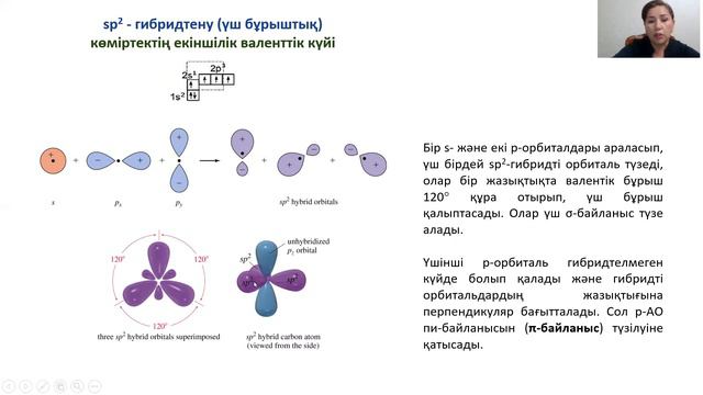 Гибридтену түрлері