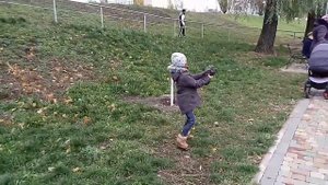 Как поймать голубя