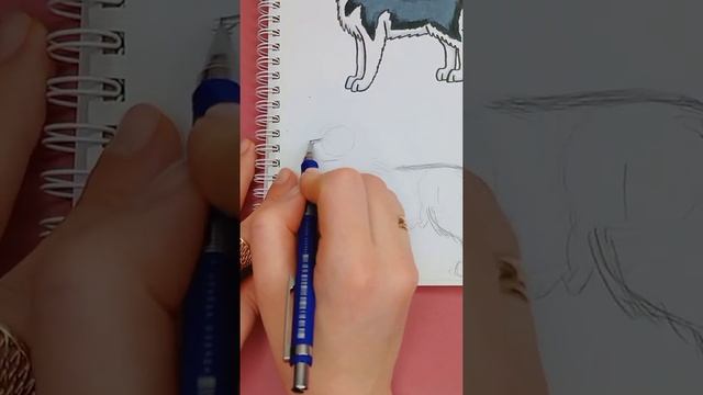 рисую собаку Марту #рисую #рисуюсобаку #хроникистаи смотреть онлайн