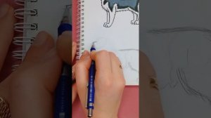 рисую собаку Марту #рисую #рисуюсобаку #хроникистаи