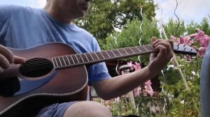 Dunkler,s Lord,s Garten Blues ;-) Fender Paramount PO-220 Mahagony ACB