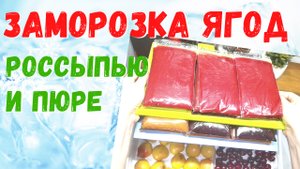 Заморозка ягод. Пюре и россыпь. #заготовки на зиму