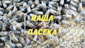 9 марта, есть проблемные семьи..mp4