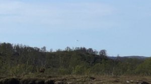 Рыбалка на кумжу | Уроки выживания в дикой природе Арктики | Невероятные камни Кольского полуостров