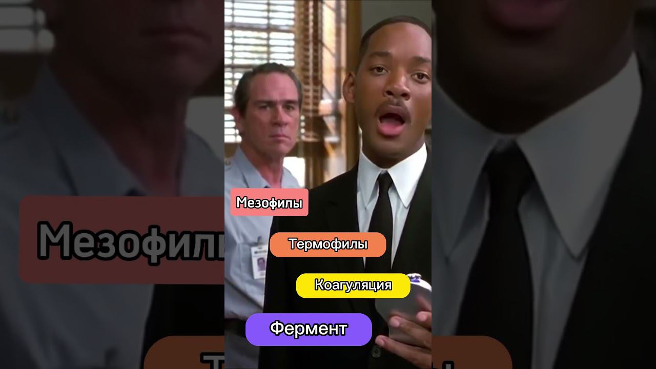 Как новички слышат профессиональных сыроваров