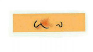 Spotlight 2 p.84 ex.1 CD&DVD