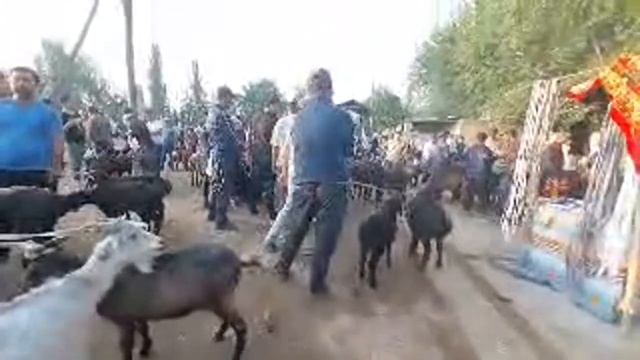 Jonli efir Shahrisabz tumani Chorshanbe Molbozor 18.05.2023 Шахрисабз Чоршанбе Молбозор