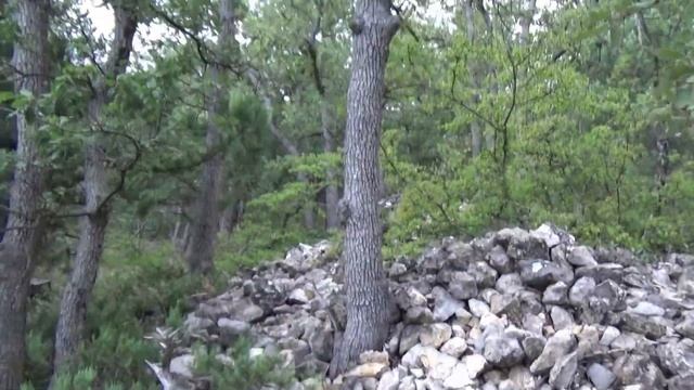 Куда ты, тропинка, меня завела?! Можжевеловая роща.Санаторий Ай-Даниль. Крым.Даниловка.Сентябрь 202 смотреть онлайн