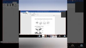 Биология 5 класс (контрольная работа)