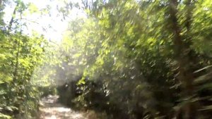 Дорога на Водопад Джур Джур Крым
