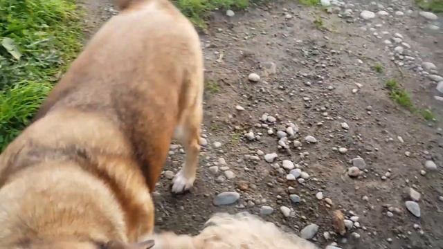 Участок в Чили с видом на океан и Анды / Terreno en Chile con bonita vista смотреть онлайн