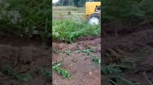 Т25 пашет метровый бурьян плугом! Пахота заросшего участка. Оператор сын!