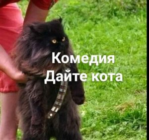 Комедия - Дайте кота