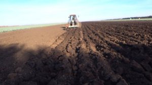 МТЗ-82 Уборка КАПУСТЫ №2