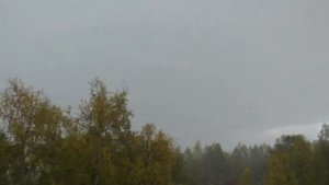 Александр Старостенко Осень
