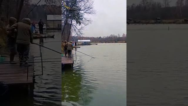 Ловим форель в Рыболовном клубе ФИШКА БЕРЕГ 29.10.2022! смотреть онлайн