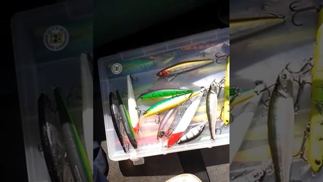 щука пойманная на депс болисонг на реке Цна п.Бокино Тамбовской обл. смотреть онлайн