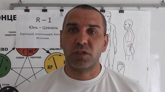 Почки и Болезни Желчного Пузыря.