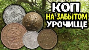 Кладоискатель . Поиск Редких Монет и Крутых Находок