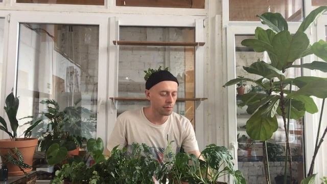Полка на окно для комнатных растений и рассады