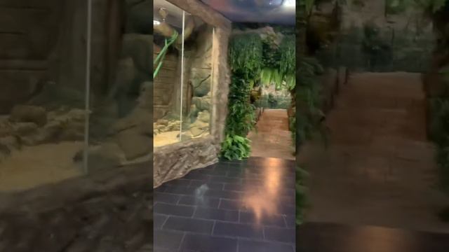 Экзотариум Рио смотреть онлайн