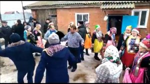 Услуги гармониста