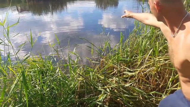 супер клев карася летом смотреть онлайн