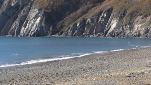 Кета 2021 Лидовка. Приморье