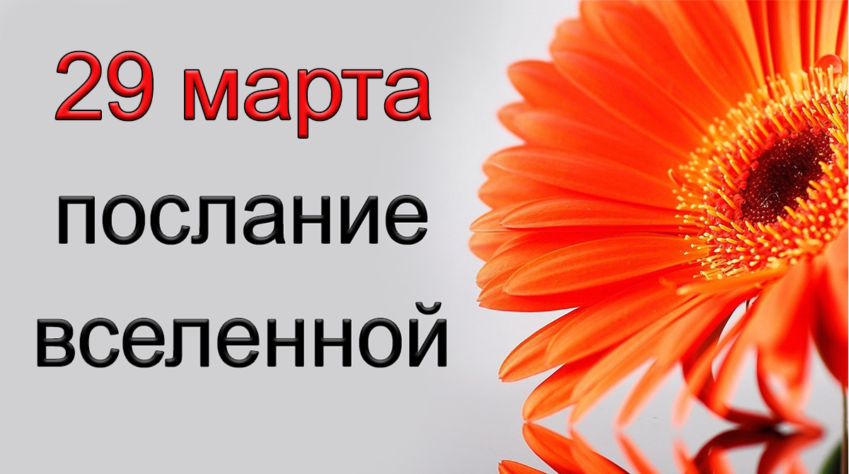 ПОСЛАНИЕ ВСЕЛЕННОЙ на 29 марта.