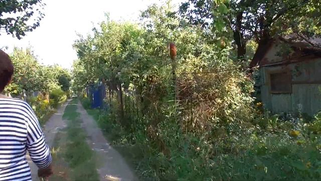 VLOG Риелтор Недвижимость Выбираем дом смотреть онлайн