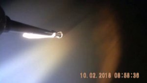Сом раненный ультразвуком или электроудочкой