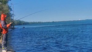 Fishing in St. Lawrence River. Each minute - one mooneye! Рыбалка в реке Св. Лаврентия, Монреаль.