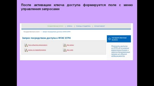 Предоставление сведений сервиса ФГИС ЕГРН смотреть онлайн